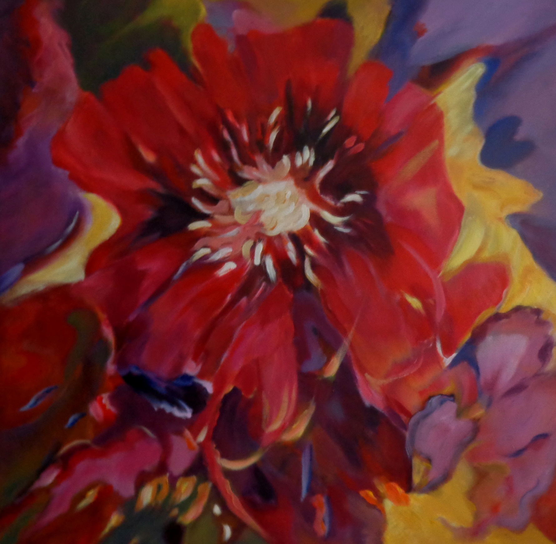 Cosmea weelde AW84 - Acryl op doek 80 x 80 cm 