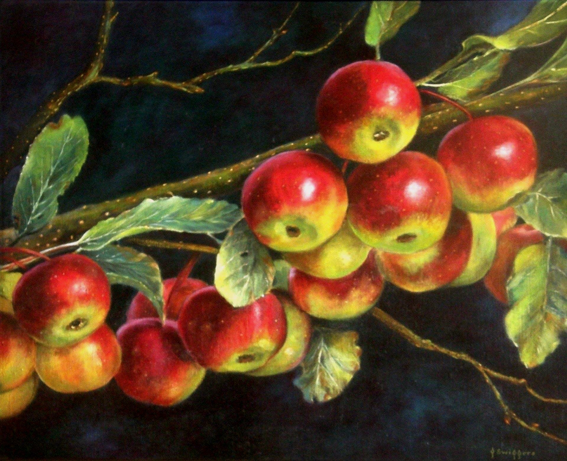 Appeltak - 50 x 60 cm 