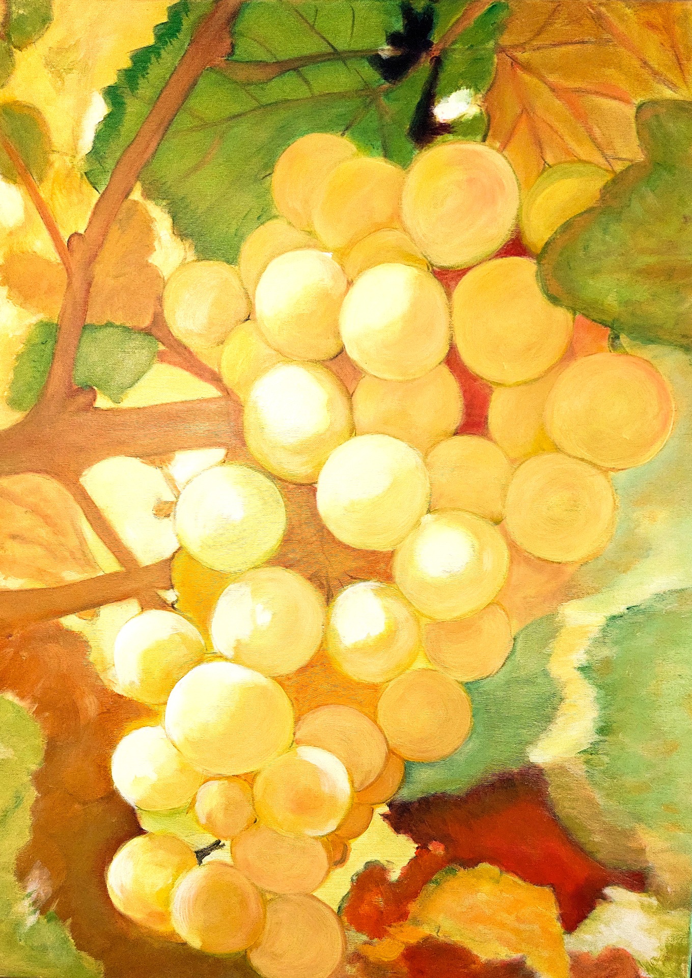 Druiven 54 -  80 x 60 cm 