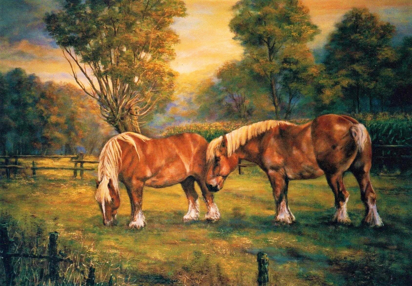 Brabanders 100 x 200 cm 