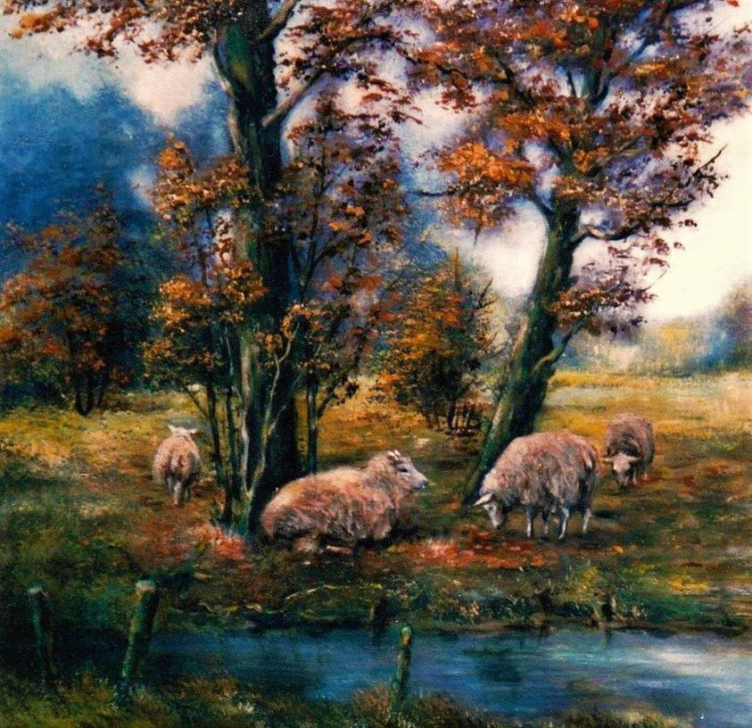 Schapenweide - 60 x 60 cm 