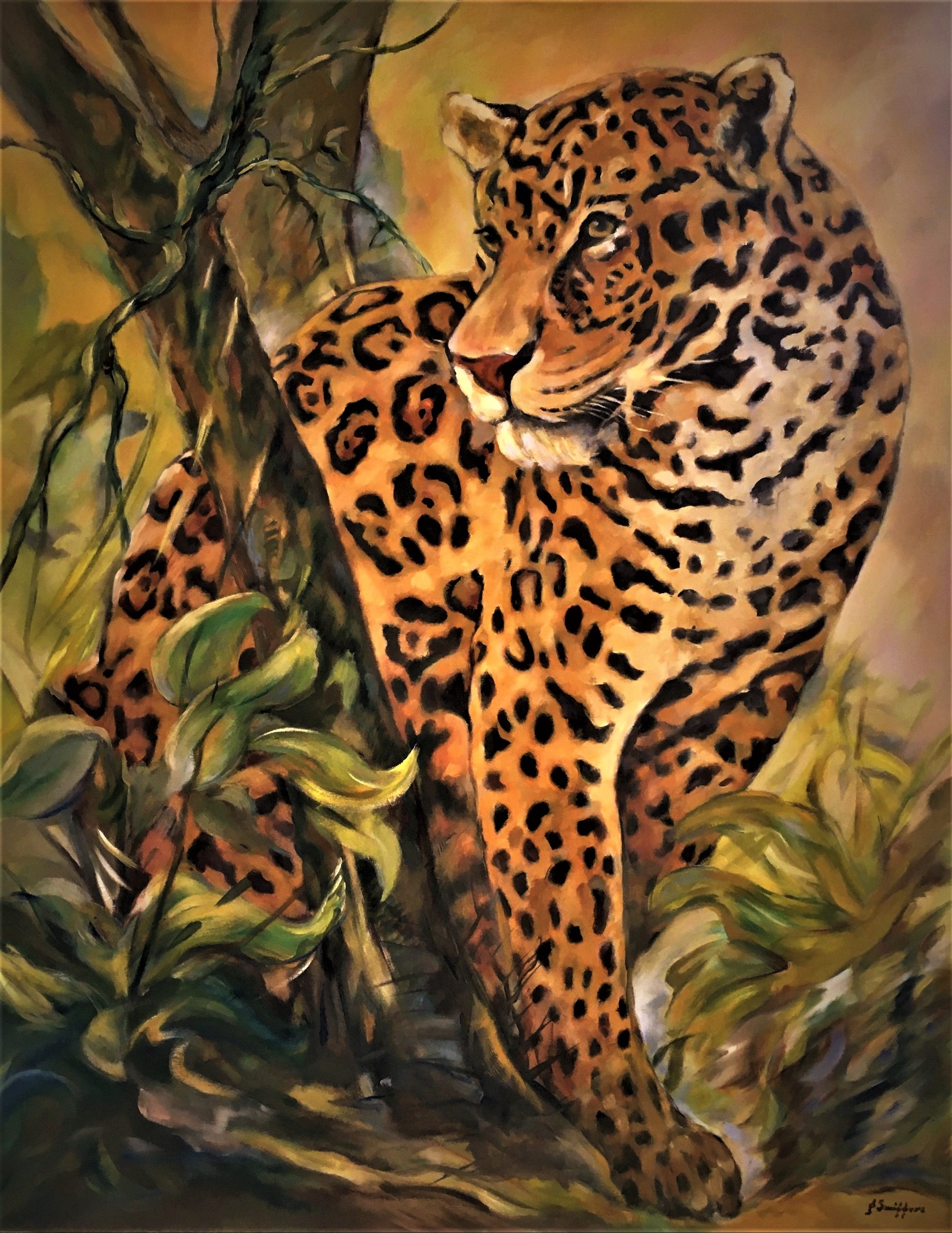 Jaguar Onca Mexico - 100 x 80 cm 